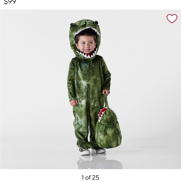 Pottery Barn Dinosaur Costumenull